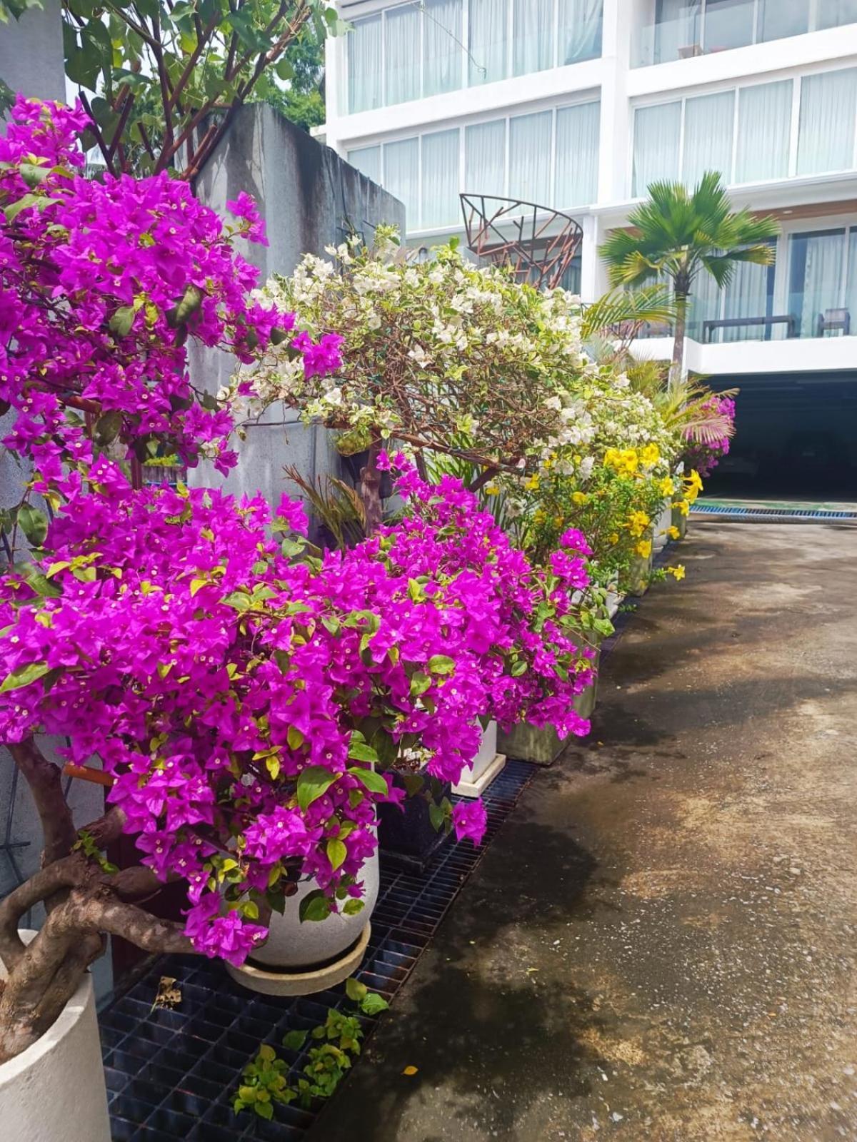 Smart Conzept 2Bdr Apartment หาดกะตะ ภายนอก รูปภาพ
